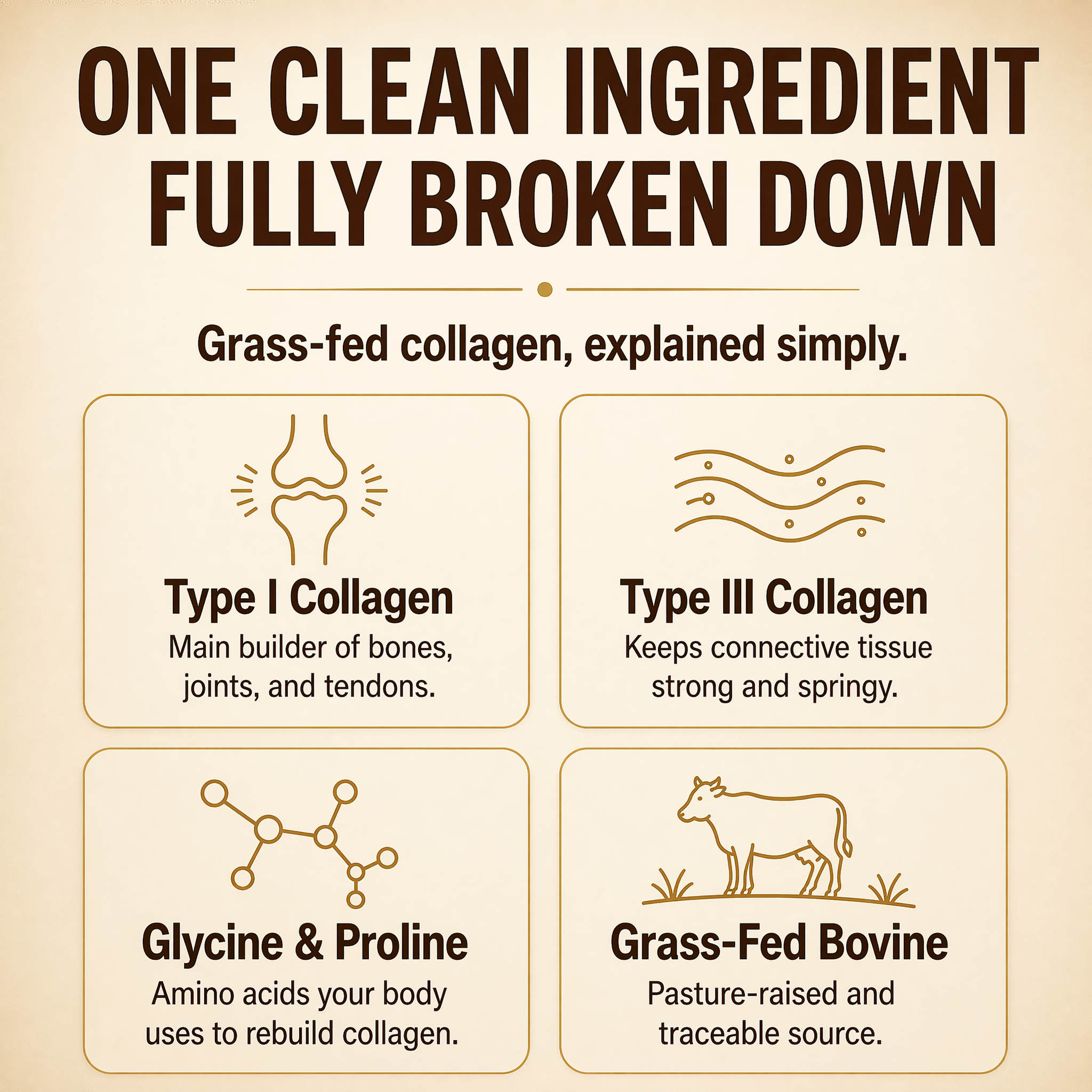 Collagen Peptides Powder 20oz - Grassfed Protein Supplement - Advanced with 18 Essential Amino Acids